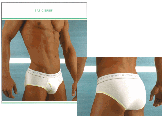 GStorm - Basic Brief